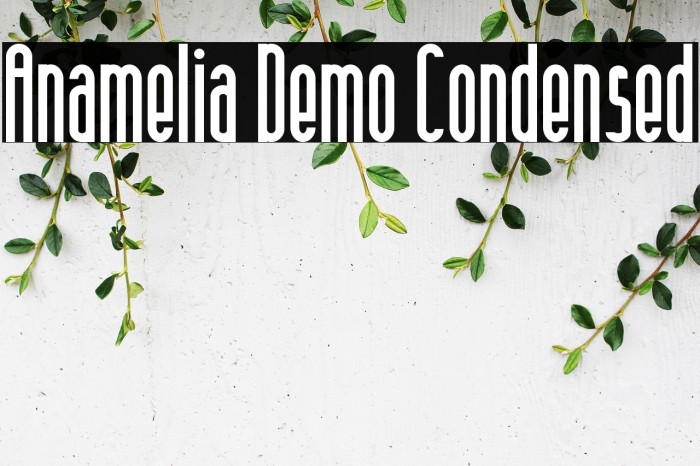 Anamelia Demo Condensed Example 3
