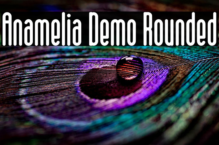 Anamelia Demo Rounded Example 1
