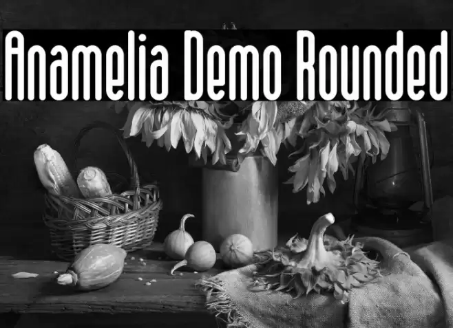 Anamelia Demo Rounded Font examples