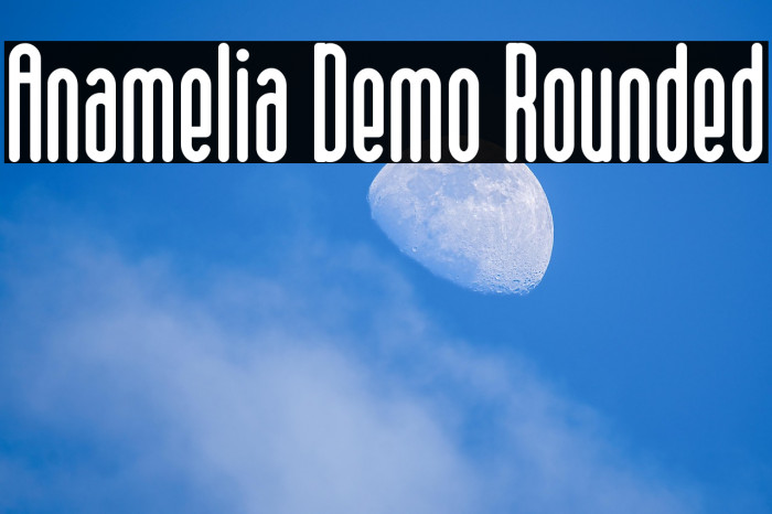 Anamelia Demo Rounded Example 3