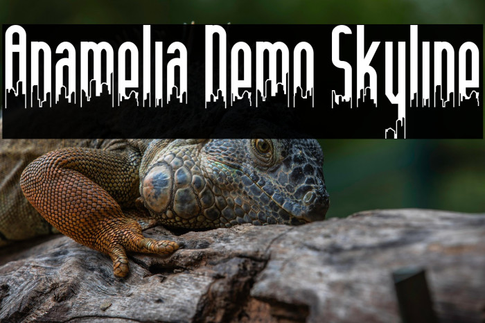 Anamelia Demo Skyline Example 3