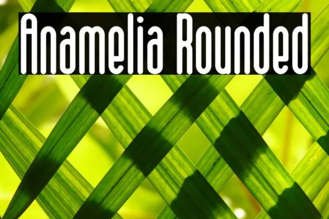 Anamelia Rounded Example 1