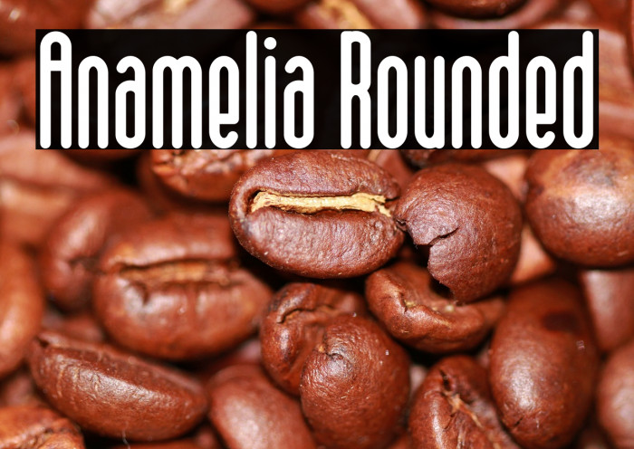 Anamelia Rounded Font examples