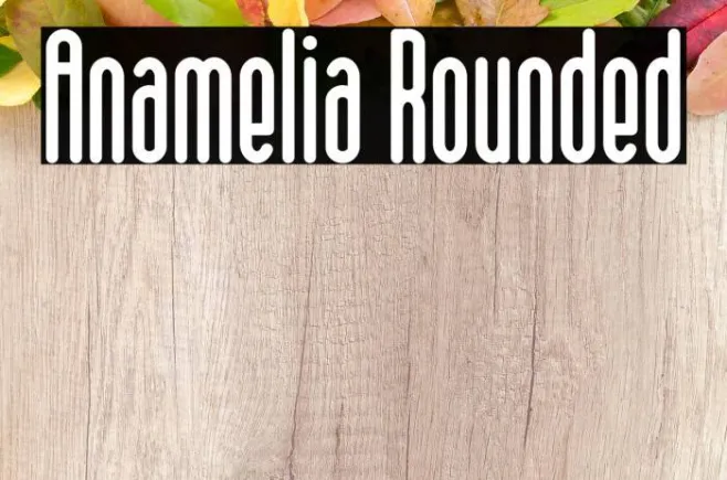 Anamelia Rounded Example 3