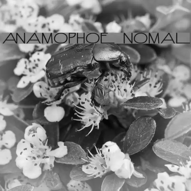 Anamorphosée Normal Font examples