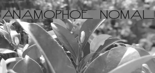 Anamorphosée Normal Font examples
