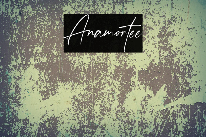 Anamortee Example 2