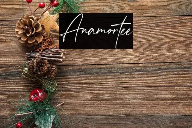 Anamortee Example 3