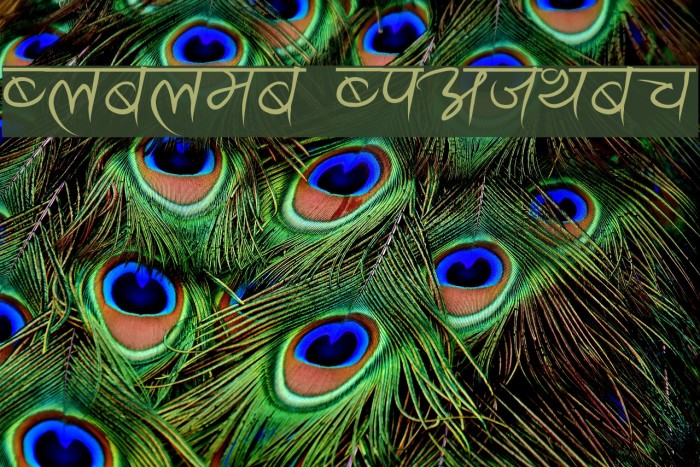 Ananda Akchyar Font examples