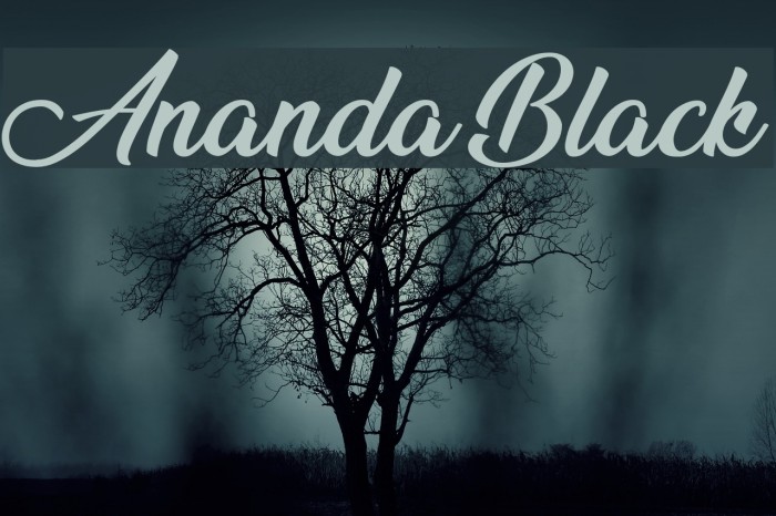 Ananda Black Font examples