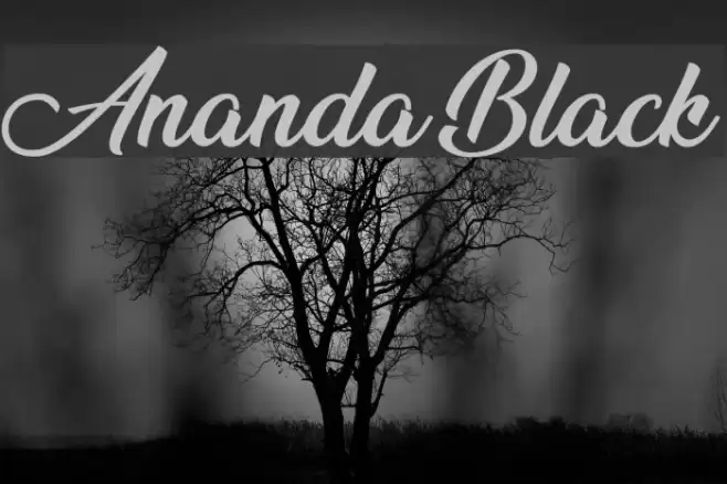 Ananda Black Font examples