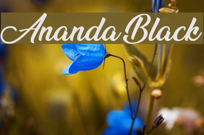 Ananda Black Font examples