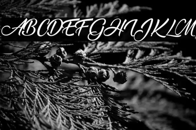 Ananda Font examples