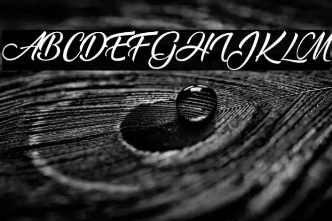 Ananda Font examples