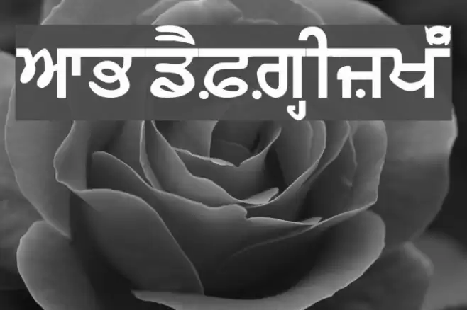 AnandpurSahib Bold Font examples