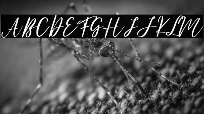 Anandya - Personal Use Font examples