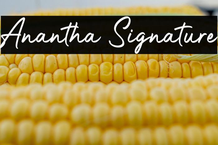 Anantha Signature Example 3
