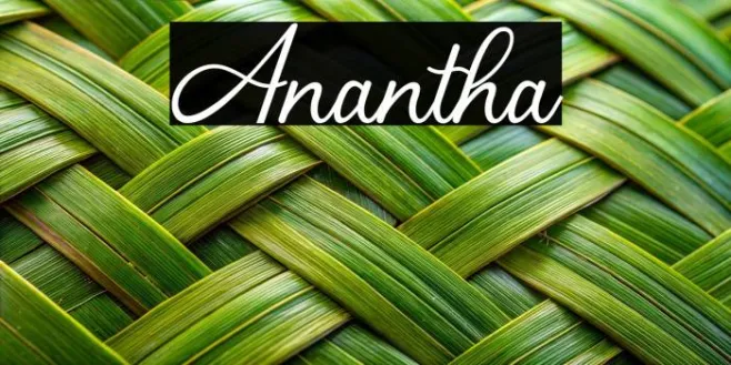 Anantha Example 1