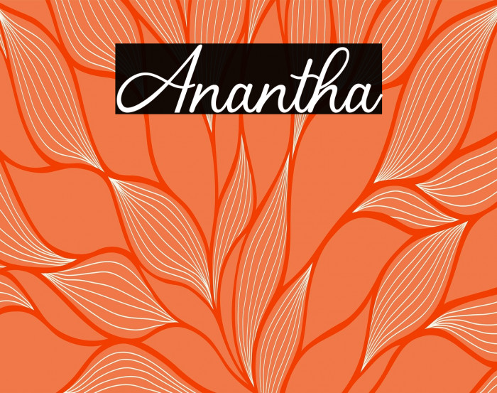 Anantha Example 2