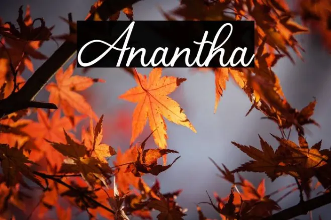Anantha Example 3
