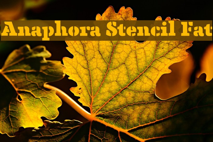 Anaphora Stencil Fat Font examples