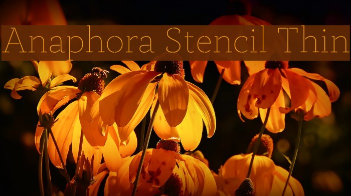 Anaphora Stencil Thin Example 1