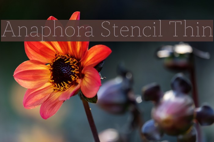 Anaphora Stencil Thin Example 2