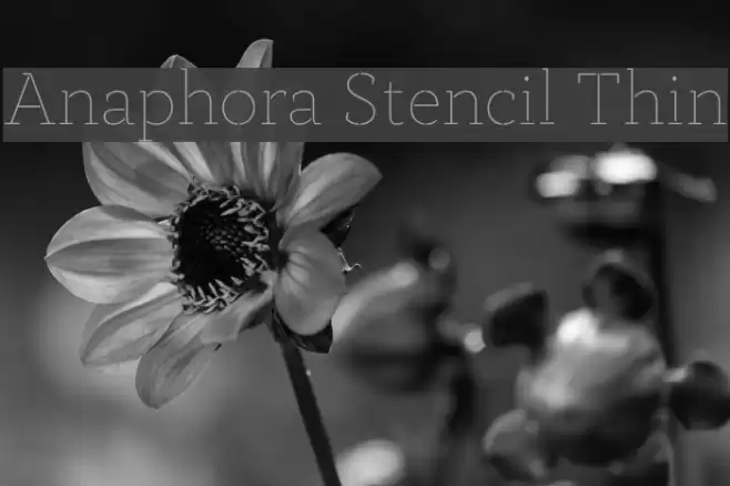 Anaphora Stencil Thin Font examples