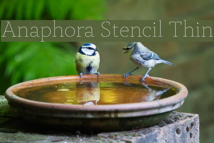 Anaphora Stencil Thin Example 3