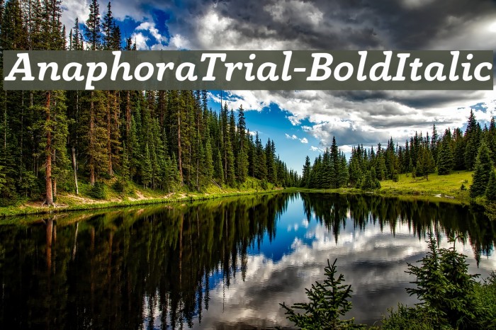 AnaphoraTrial-BoldItalic Font examples