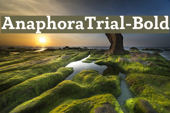 AnaphoraTrial-Bold Font examples