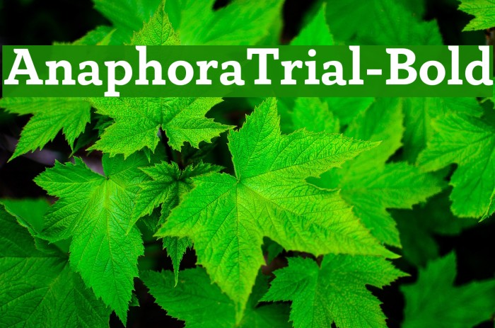 AnaphoraTrial-Bold Font examples