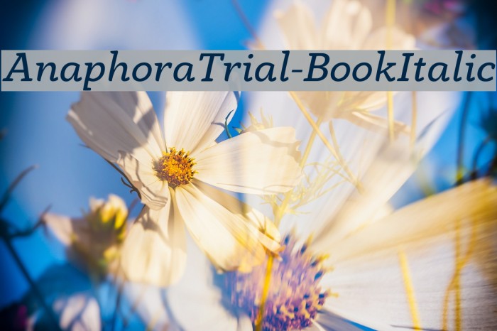 AnaphoraTrial-BookItalic Font examples