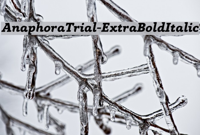 AnaphoraTrial-ExtraBoldItalic Font examples
