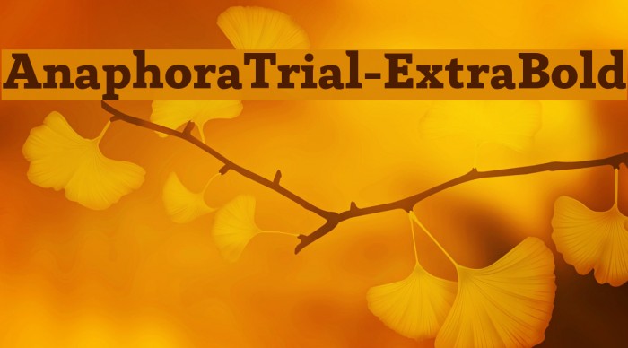 AnaphoraTrial-ExtraBold Font examples