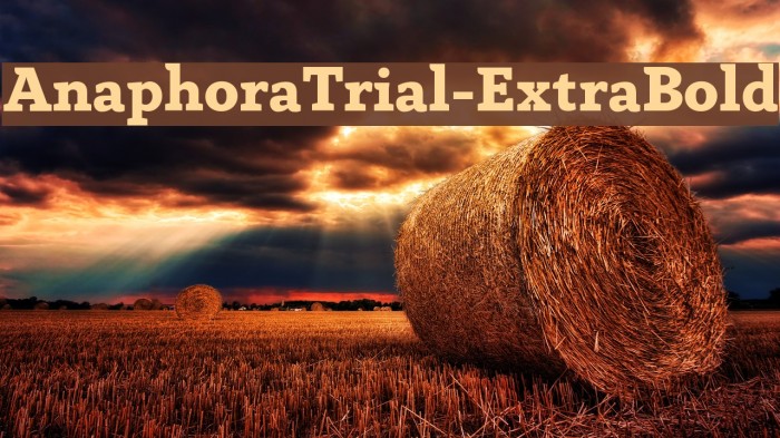 AnaphoraTrial-ExtraBold Font examples