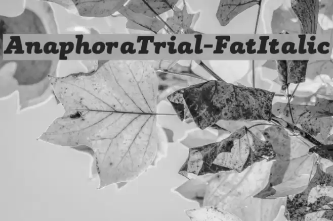 AnaphoraTrial-FatItalic フォント examples