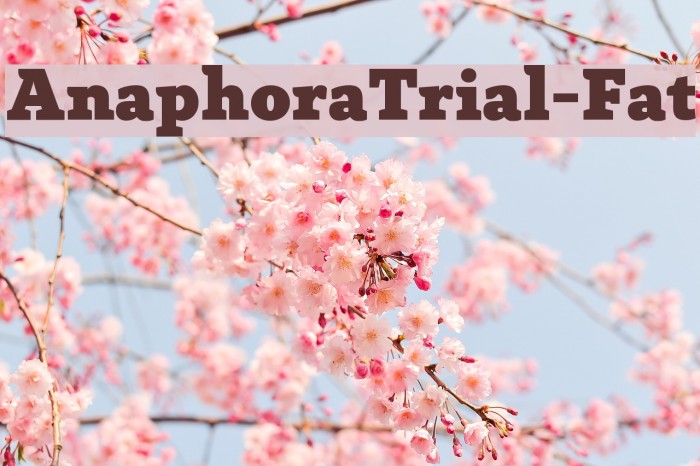 AnaphoraTrial-Fat Font examples