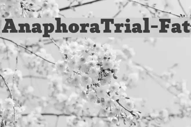 AnaphoraTrial-Fat Font examples