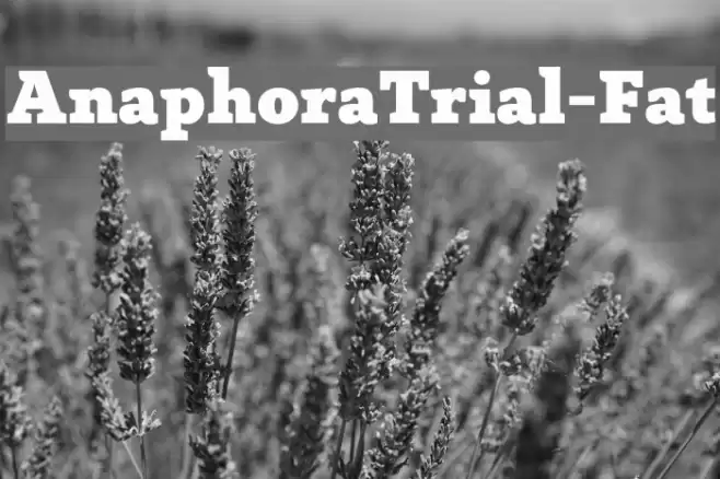AnaphoraTrial-Fat Font examples