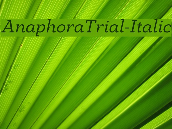 AnaphoraTrial-Italic Font examples