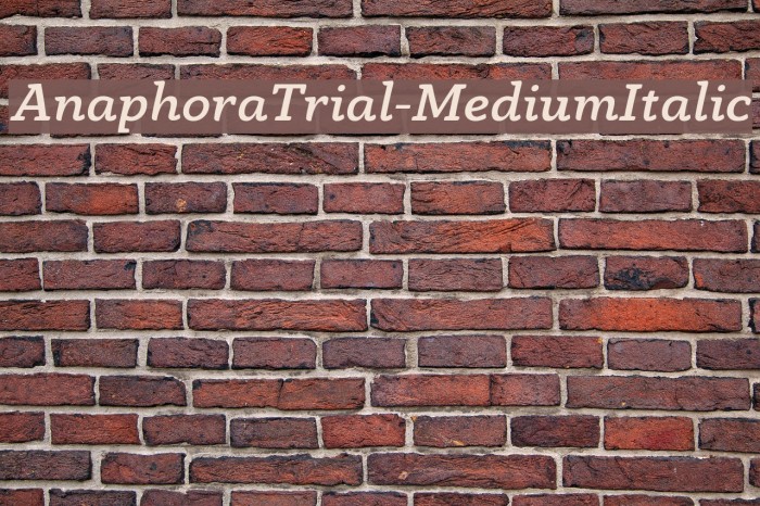 AnaphoraTrial-MediumItalic Font examples