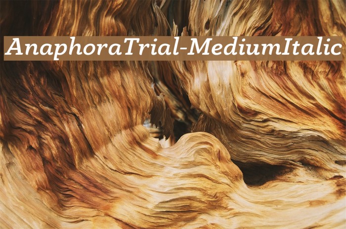 AnaphoraTrial-MediumItalic Font examples
