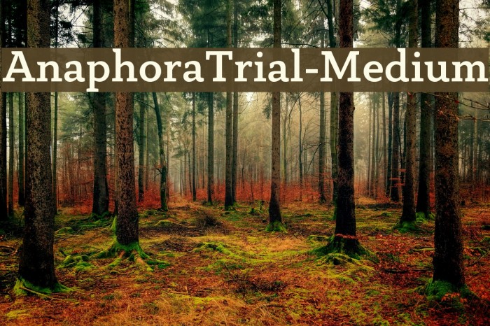 AnaphoraTrial-Medium Font examples