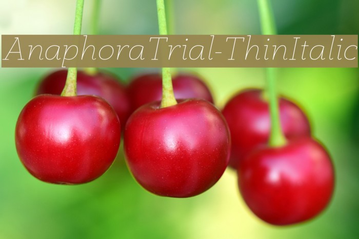 AnaphoraTrial-ThinItalic Example 3