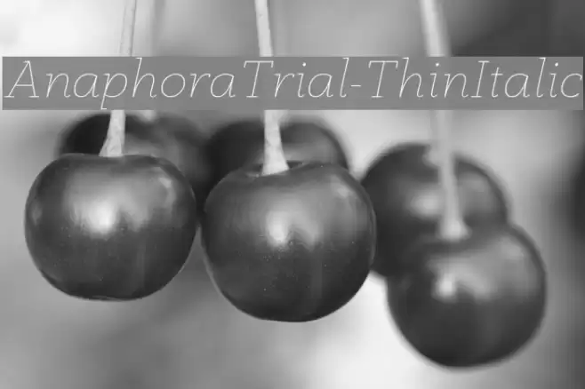 AnaphoraTrial-ThinItalic Font examples
