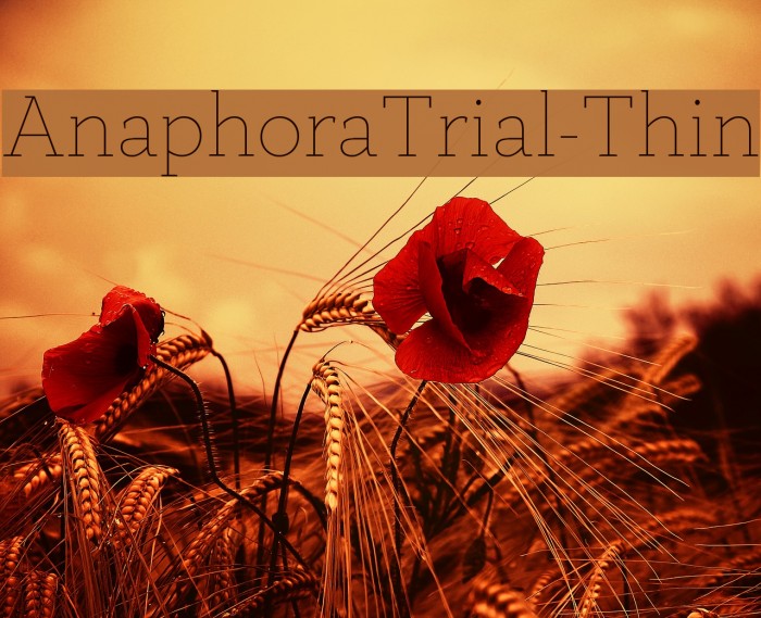 AnaphoraTrial-Thin Font examples
