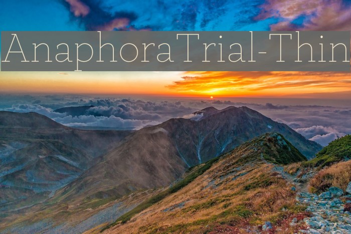AnaphoraTrial-Thin Font examples