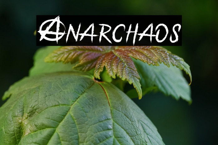 Anarchaos Example 1