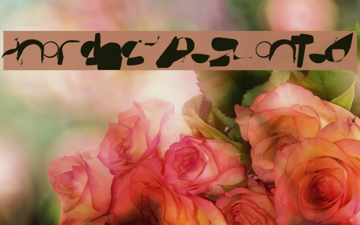 AnarchicType Slanted Font examples